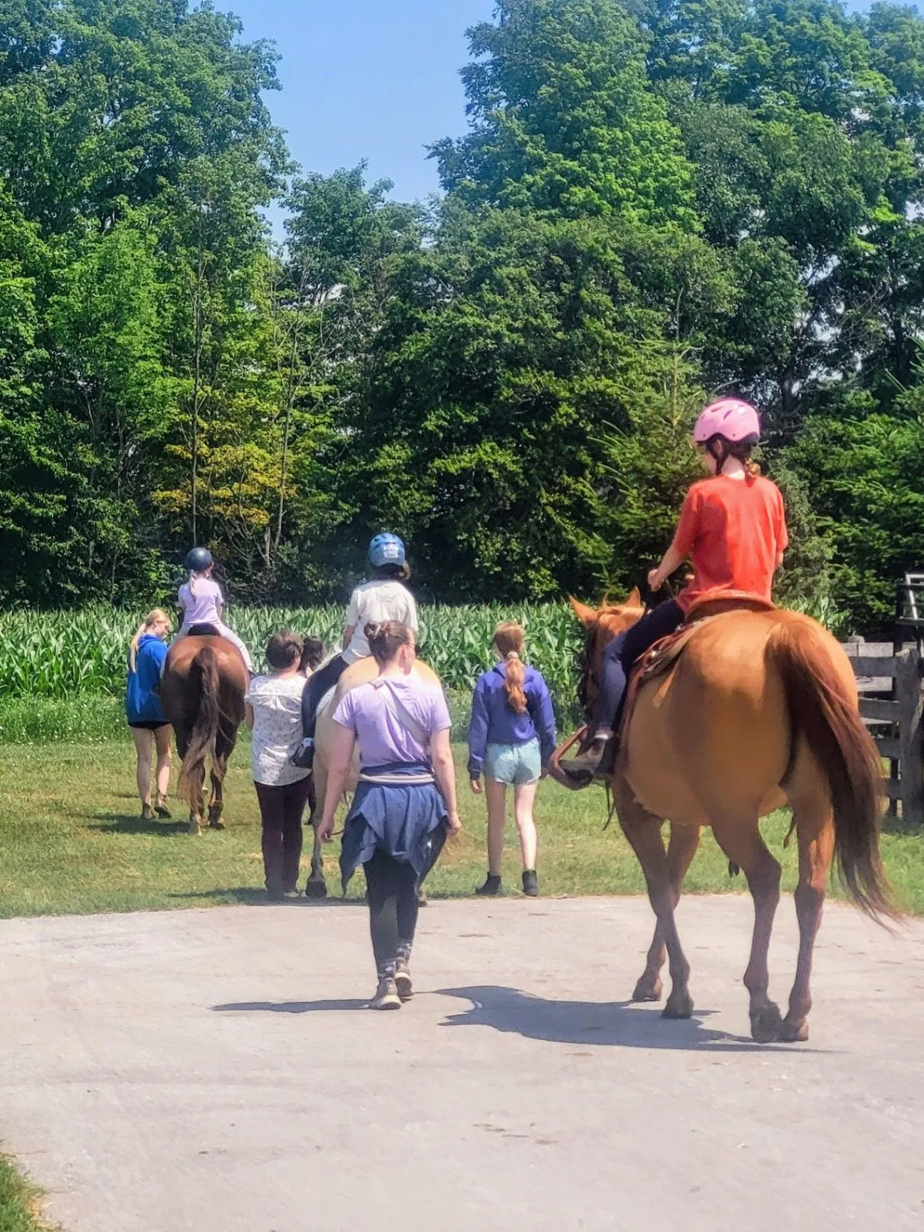 A group riding lesson walking toward a cornfield